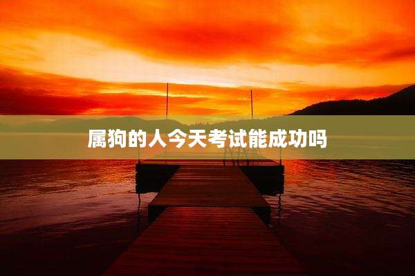 属狗的人今天考试能成功吗