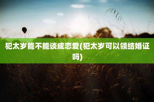 犯太岁能不能谈成恋爱(犯太岁可以领结婚证吗)