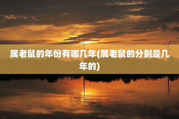 属老鼠的年份有哪几年(属老鼠的分别是几年的)