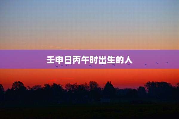 壬申日丙午时出生的人