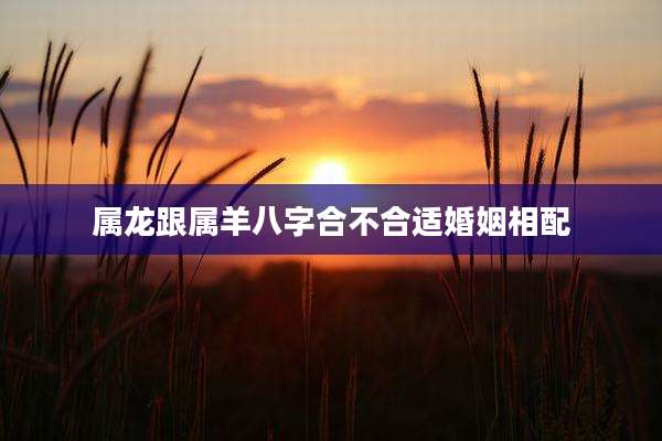 属龙跟属羊八字合不合适婚姻相配