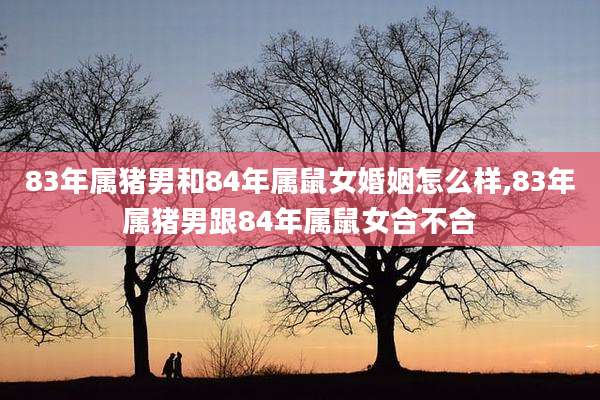 83年属猪男和84年属鼠女婚姻怎么样,83年属猪男跟84年属鼠女合不合
