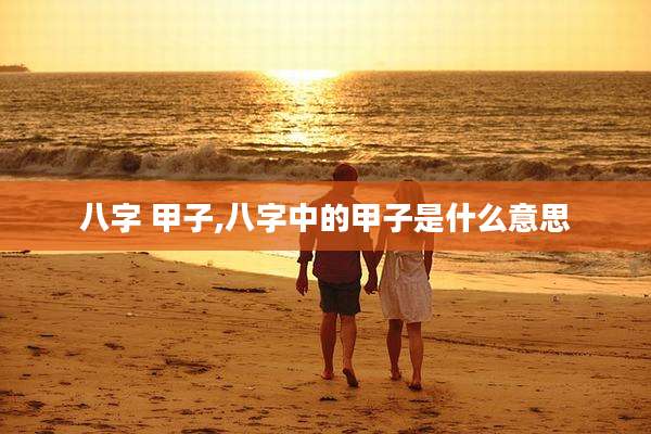 八字 甲子,八字中的甲子是什么意思