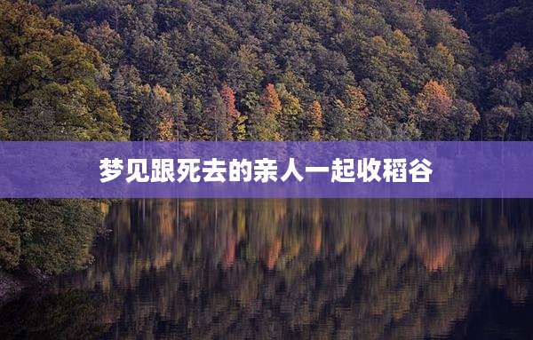 梦见跟死去的亲人一起收稻谷