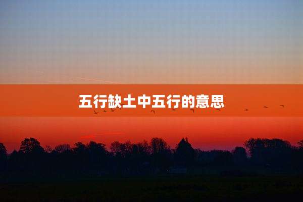 五行缺土中五行的意思