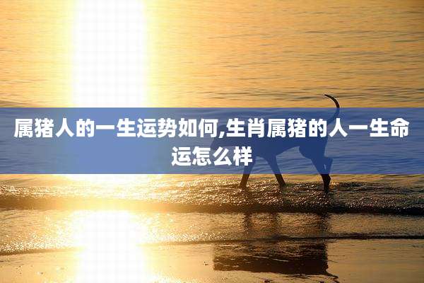 属猪人的一生运势如何,生肖属猪的人一生命运怎么样