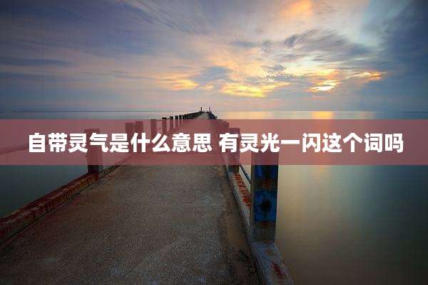 自带灵气是什么意思 有灵光一闪这个词吗