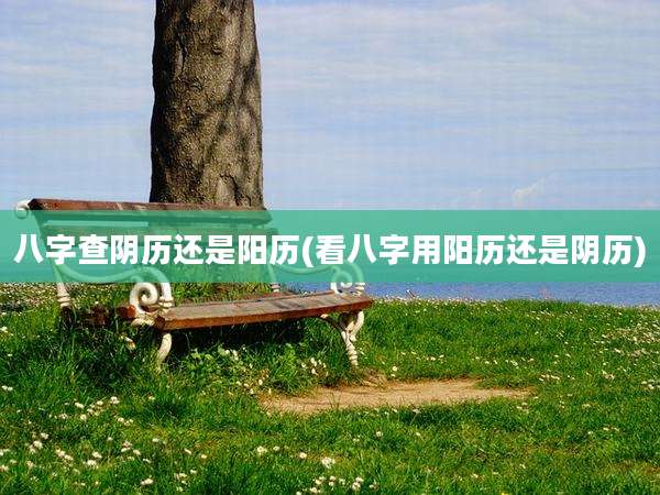 八字查阴历还是阳历(看八字用阳历还是阴历)