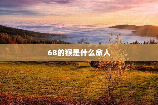 68的猴是什么命人