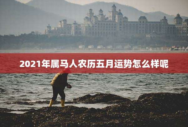 2021年属马人农历五月运势怎么样呢