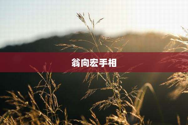 翁向宏手相
