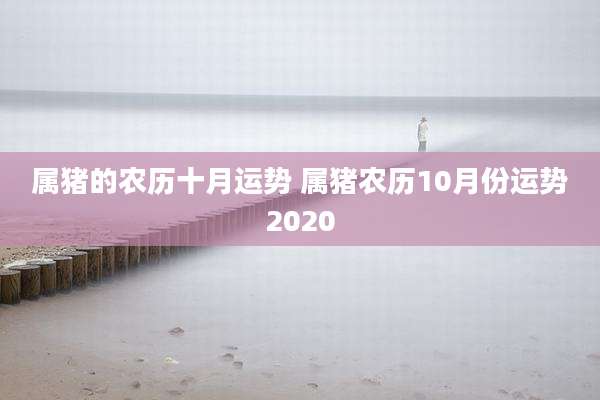 属猪的农历十月运势 属猪农历10月份运势2020