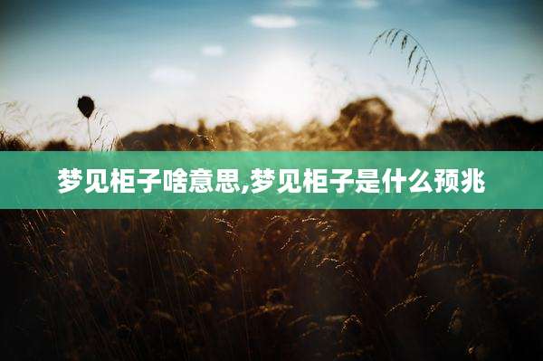 梦见柜子啥意思,梦见柜子是什么预兆