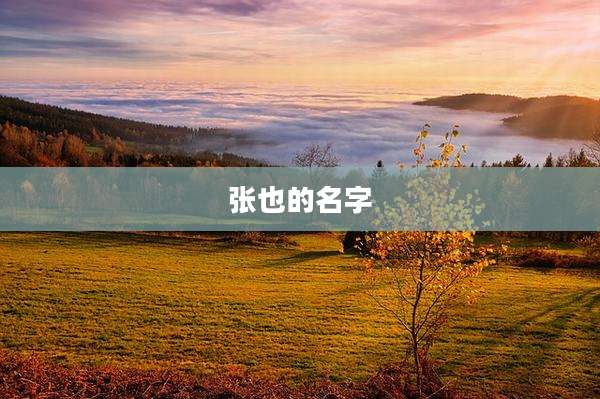 张也的名字