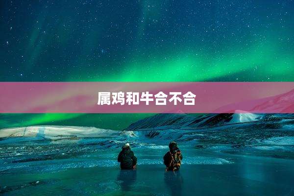 属鸡和牛合不合
