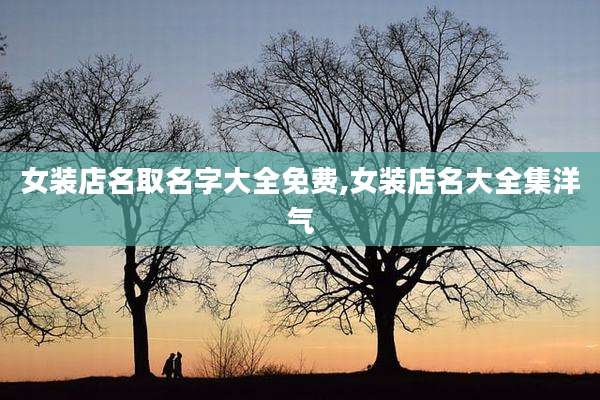 女装店名取名字大全免费,女装店名大全集洋气