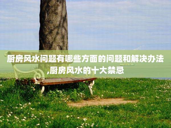 厨房风水问题有哪些方面的问题和解决办法,厨房风水的十大禁忌
