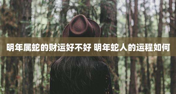 明年属蛇的财运好不好 明年蛇人的运程如何