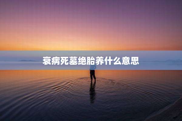 衰病死墓绝胎养什么意思
