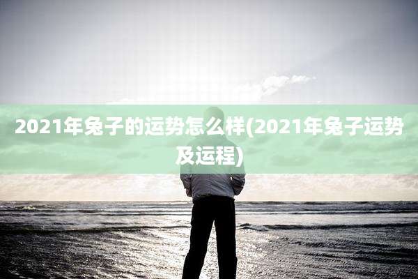 2021年兔子的运势怎么样(2021年兔子运势及运程)