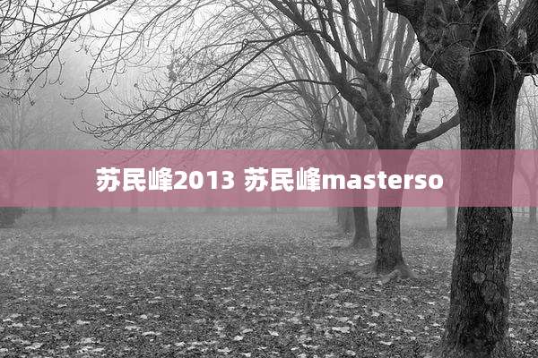苏民峰2013 苏民峰masterso