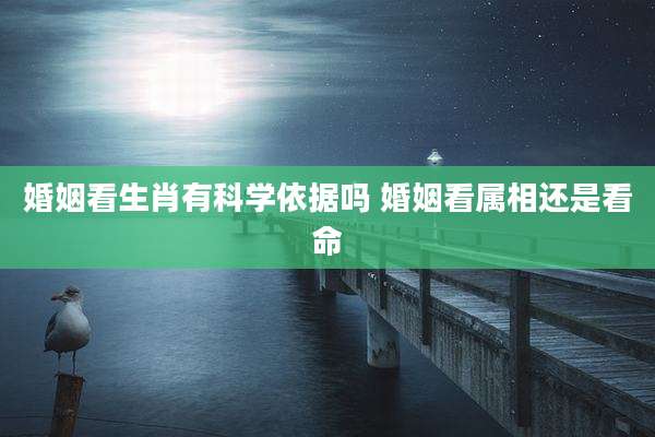 婚姻看生肖有科学依据吗 婚姻看属相还是看命