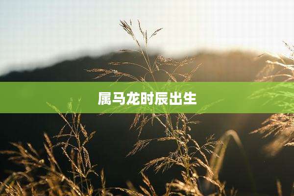 属马龙时辰出生