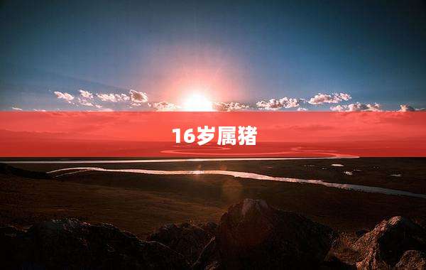 16岁属猪