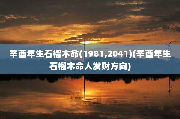 辛酉年生石榴木命(1981,2041)(辛酉年生石榴木命人发财方向)