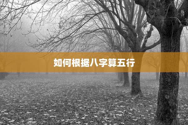 如何根据八字算五行