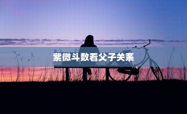 紫微斗数看父子关系