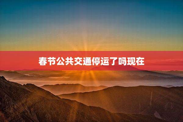 春节公共交通停运了吗现在