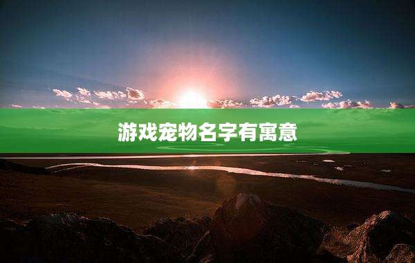 游戏宠物名字有寓意