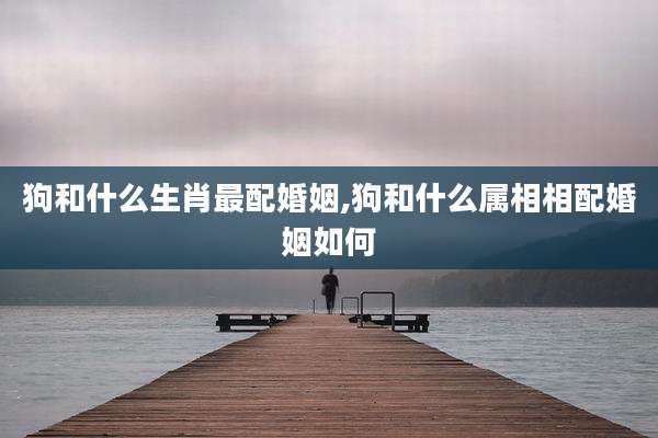 狗和什么生肖最配婚姻,狗和什么属相相配婚姻如何