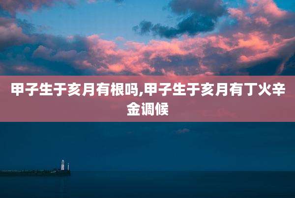 甲子生于亥月有根吗,甲子生于亥月有丁火辛金调候