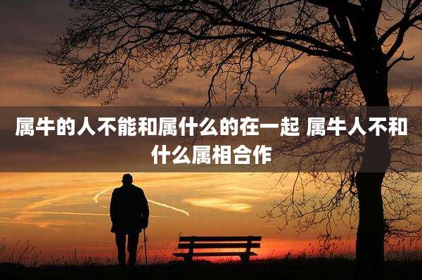 属牛的人不能和属什么的在一起 属牛人不和什么属相合作