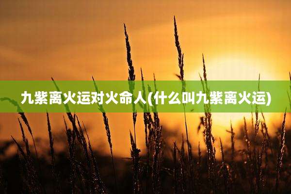 九紫离火运对火命人(什么叫九紫离火运)