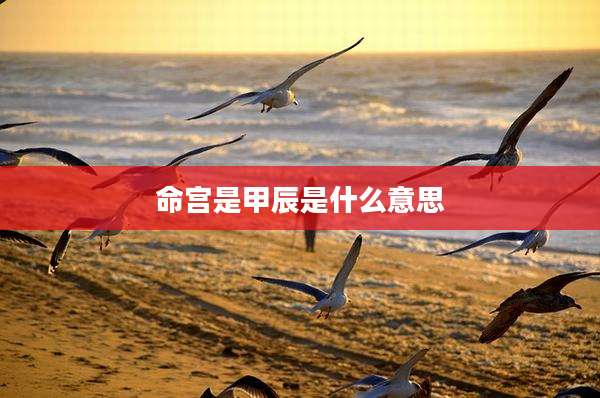 命宫是甲辰是什么意思