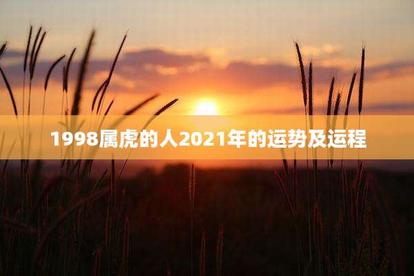 1998属虎的人2021年的运势及运程