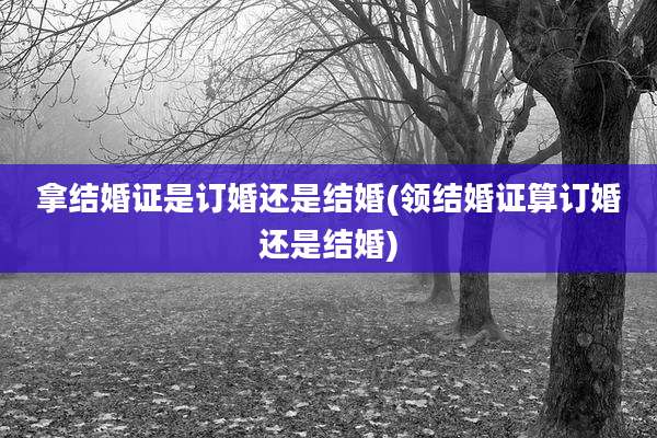 拿结婚证是订婚还是结婚(领结婚证算订婚还是结婚)