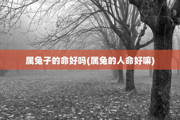 属兔子的命好吗(属兔的人命好嘛)