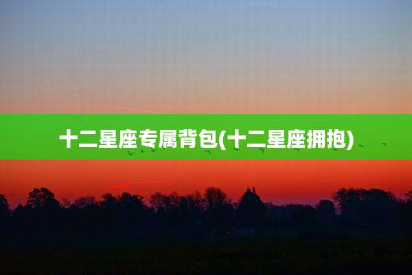 十二星座专属背包(十二星座拥抱)