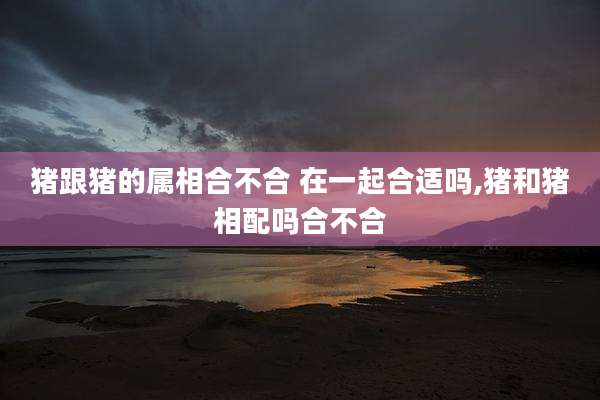 猪跟猪的属相合不合 在一起合适吗,猪和猪相配吗合不合