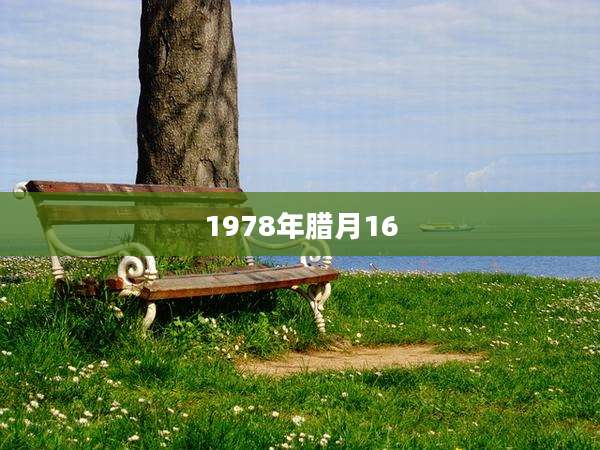 1978年腊月16