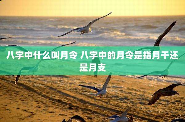 八字中什么叫月令 八字中的月令是指月干还是月支