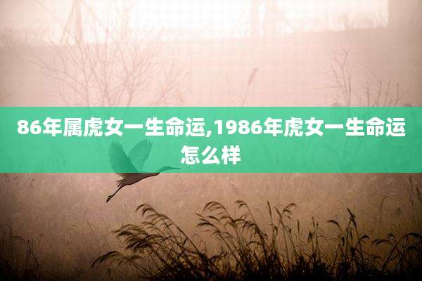 86年属虎女一生命运,1986年虎女一生命运怎么样