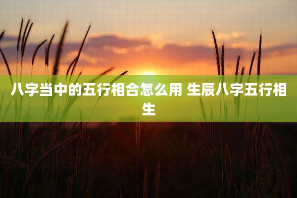 八字当中的五行相合怎么用 生辰八字五行相生