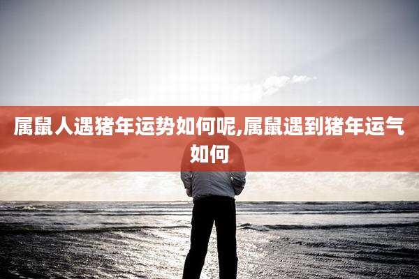 属鼠人遇猪年运势如何呢,属鼠遇到猪年运气如何