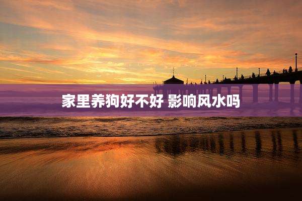 家里养狗好不好 影响风水吗