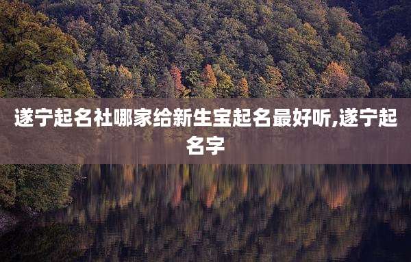 遂宁起名社哪家给新生宝起名最好听,遂宁起名字